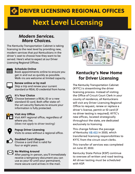 driver licensing information sheet