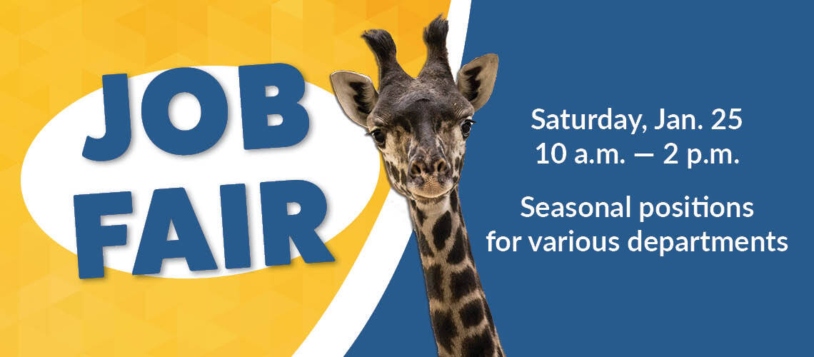 Zoo job fair 1 25