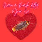 LNC cockroach naming image