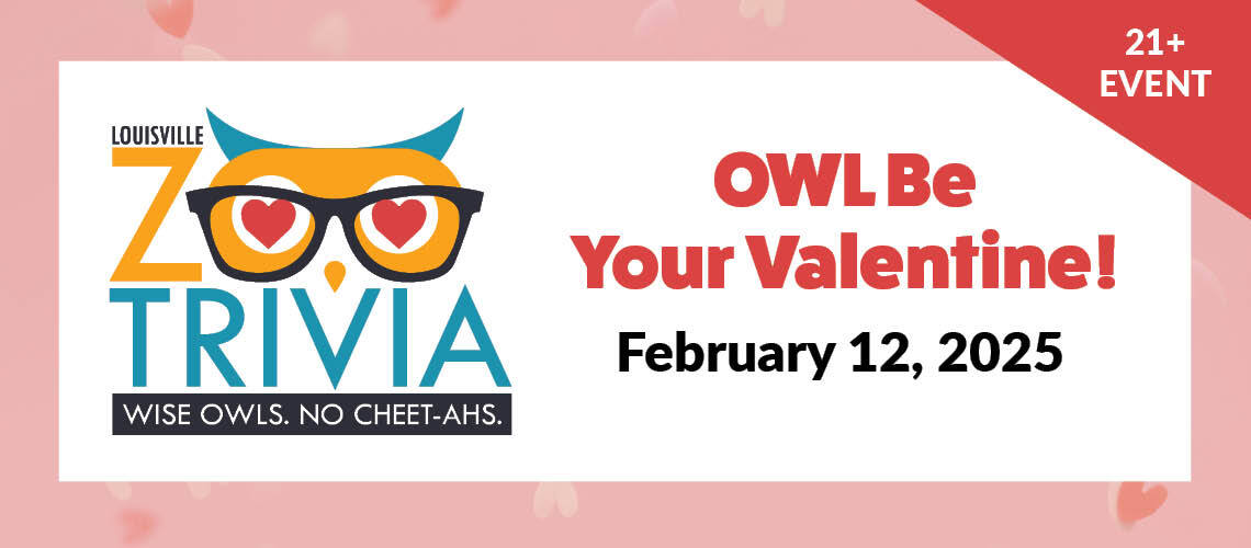 Zoo couples trivia night image