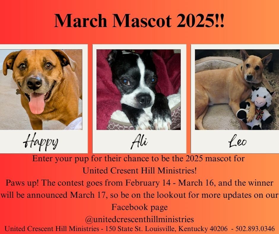 March Contest – Calling all dog lovers!