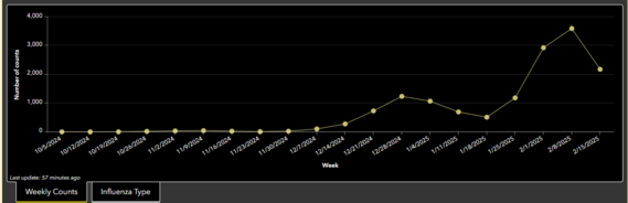 Flu Dashboard