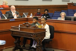 Ava D10 page reading roberts rules of order