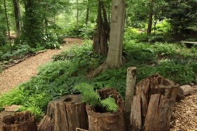 Whitehall to Host Woodland Garden Tour