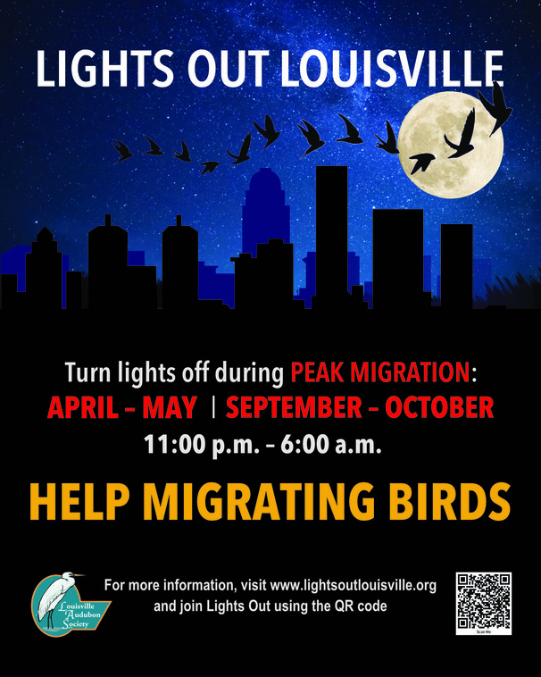 Save Birds by Choosing to Go Lights Out This Spring!