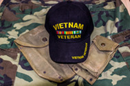 Vietnam Veteran image