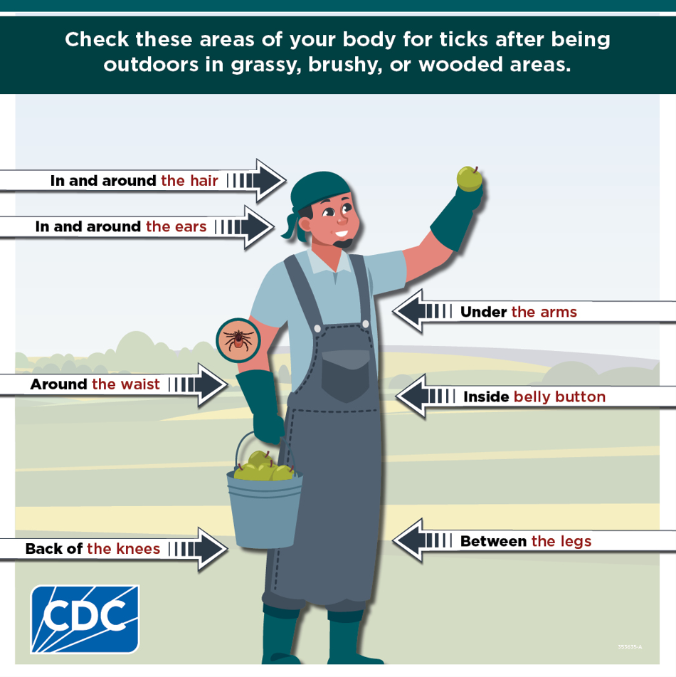 ticks graphic