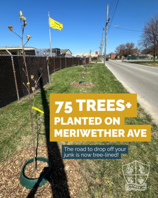 meriwether trees