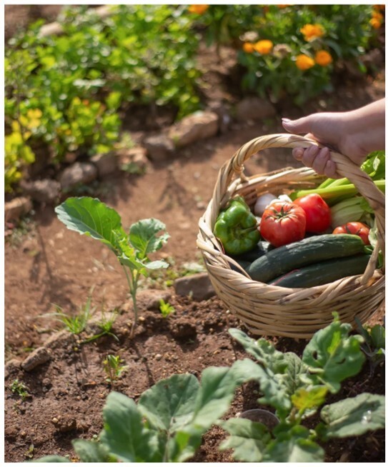 Whitehall to Host Edible Garden Workshop