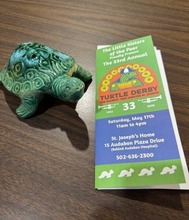 LSOP turtle derby brochure photo