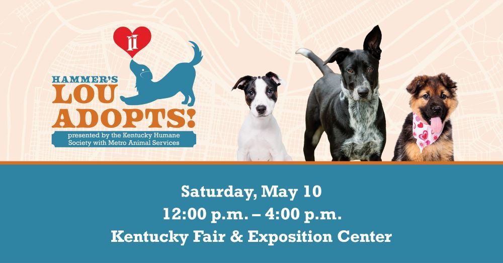 Lou Adopts event image