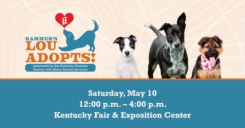 Animal Services Event