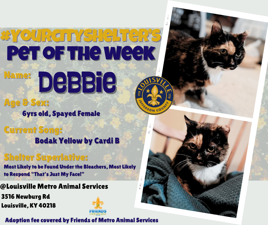 pet of the week