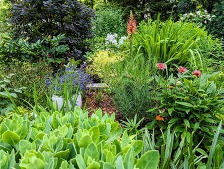 Whitehall to hold Garden Party fundraiser