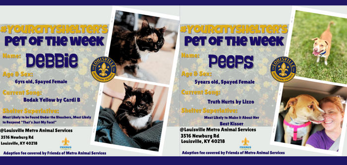 Adoptable Pets