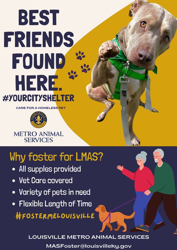 Foster Me Louisville