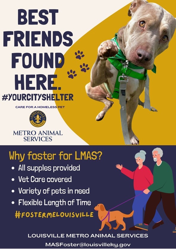 foster for LMAS