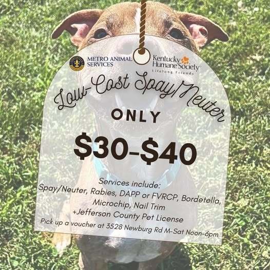 Low cost spay/neuter animal June 2025