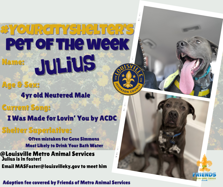 julius