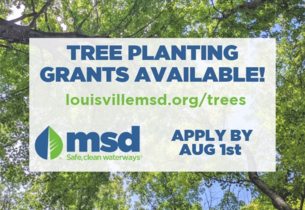 MSD's Urban Reforestation Program is Now Accepting Applications for Tree Planting Grants