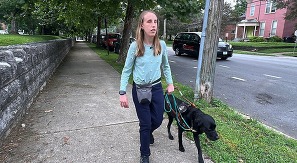 The Dot Experience Update 