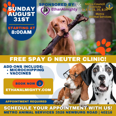 spay