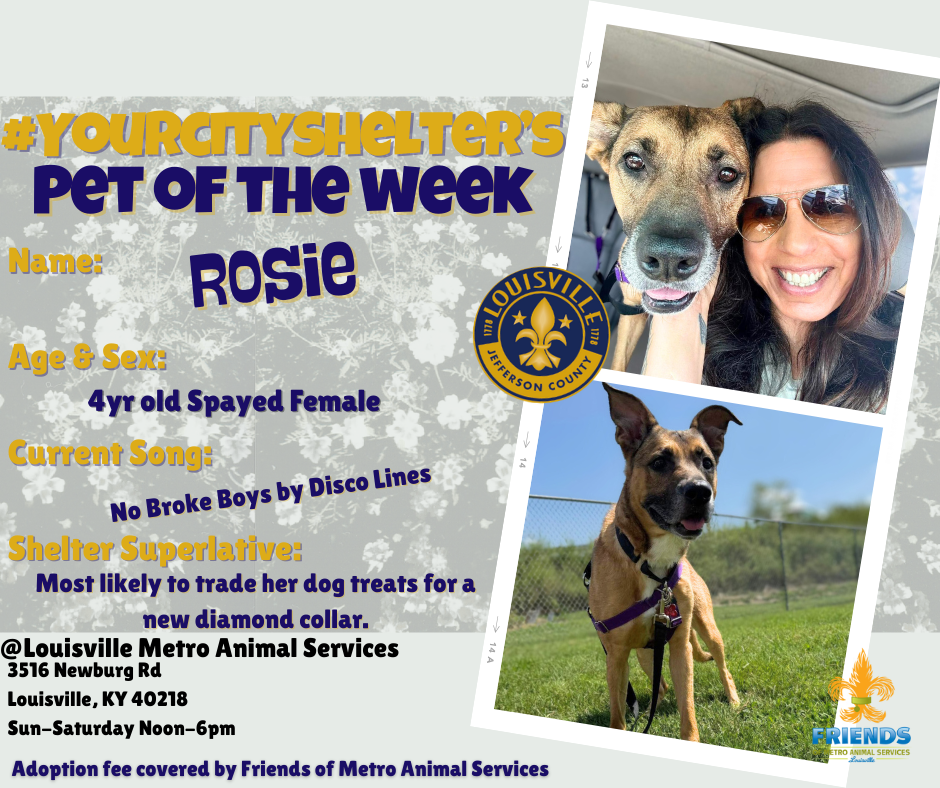 LMAS PotW Rosie
