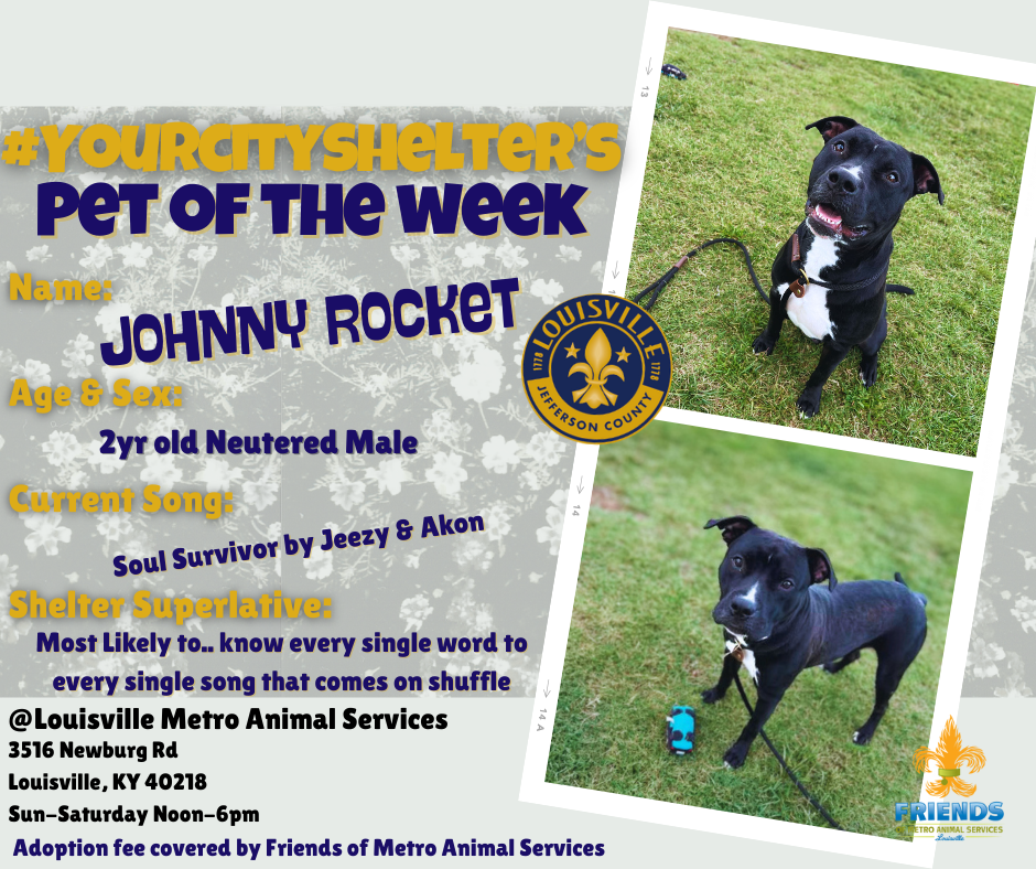 Pet of the Week!