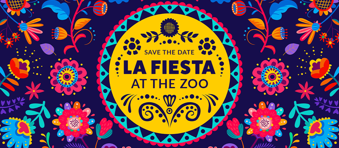 La Fiesta At the zoo