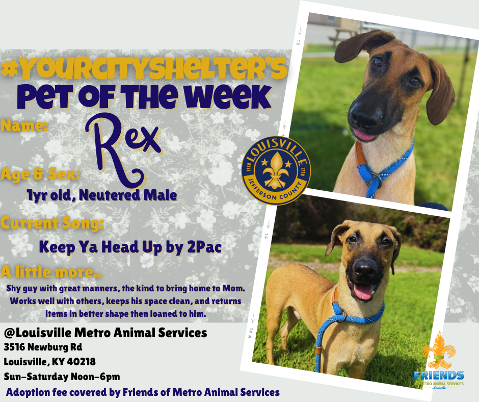 rex