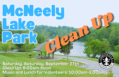 McNeely Flyer