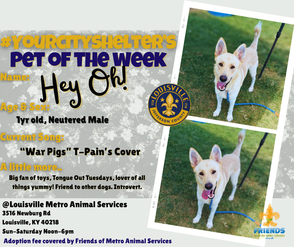 Pet of the Week