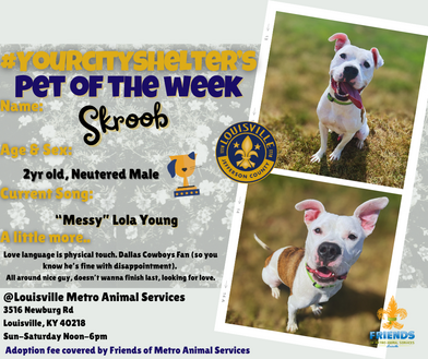 Pet of the Week!