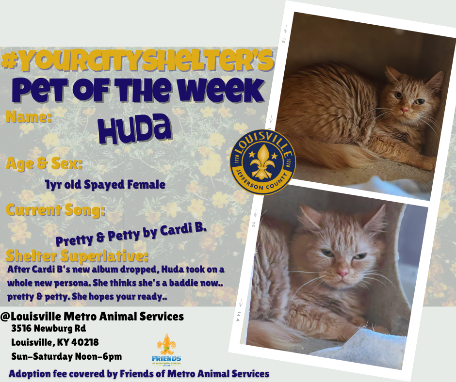 Huda
