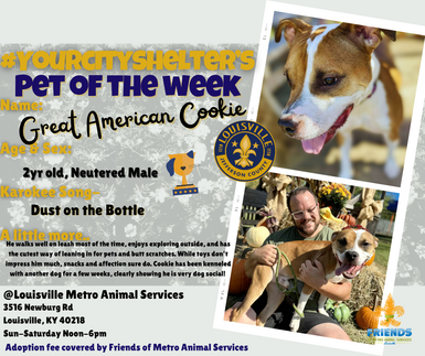 Pet of the Week!