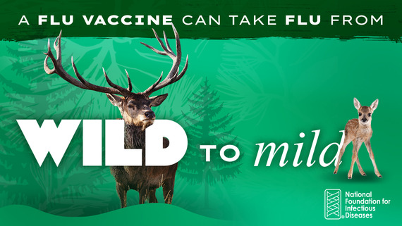 Wild to Mild Flu