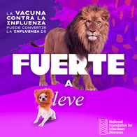 Wild to Mild Flu -- Spanish