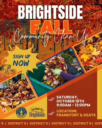 District 9 Brightside Community Cleanup