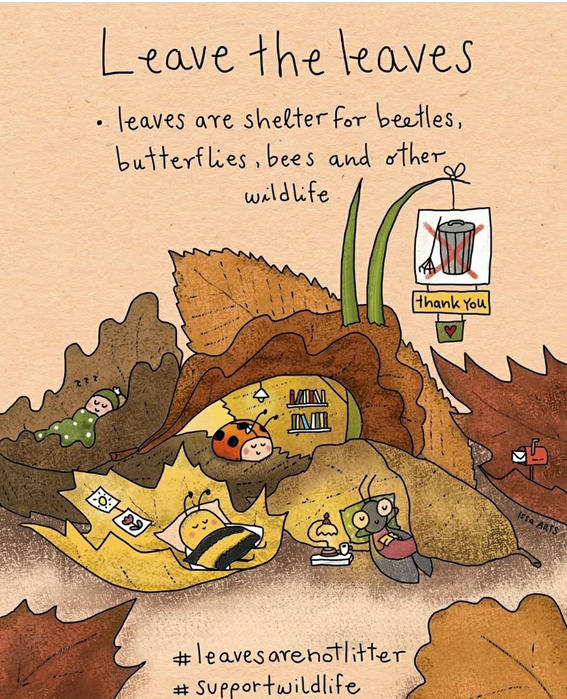 Leave the Leaves Flyer