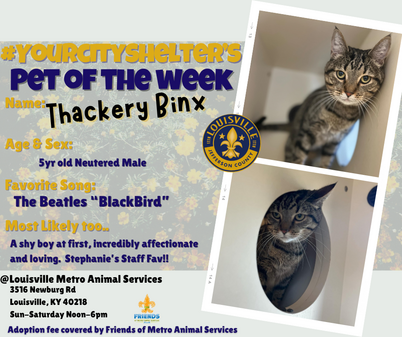 ThackeryBinx