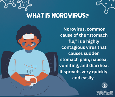 norovirus