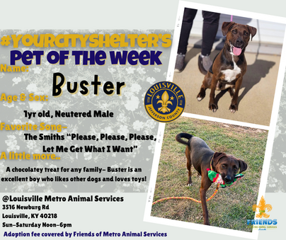 Buster