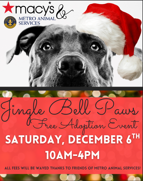 METRO ANIMAL SERVICES