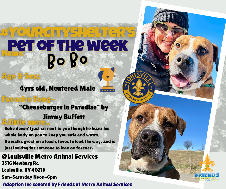 PotW BoBo