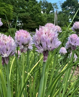 nature center