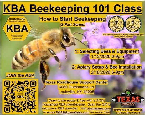 KBA BEE