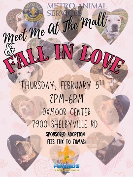 adoption event
