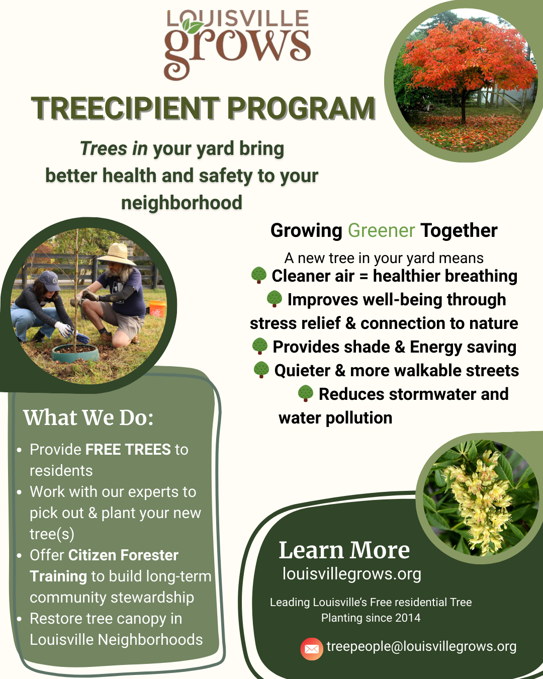 tree program