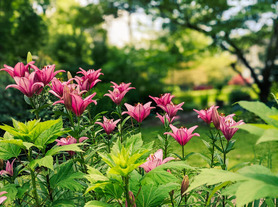 CRESCENT HILL 32ND ANNIVERSARY GARDEN TOUR