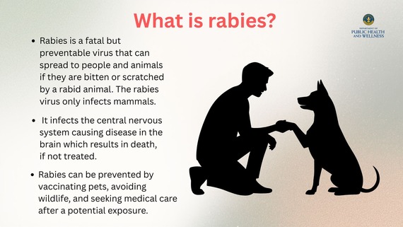 What is rabies?